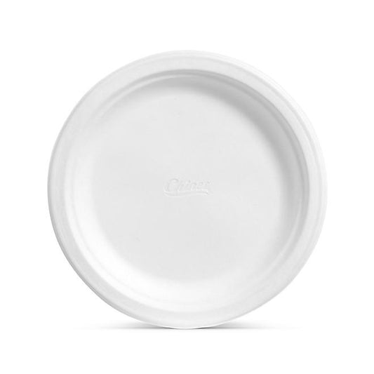 Chinet Classic Dinner Paper Plate, 10.38" (165 ct.)