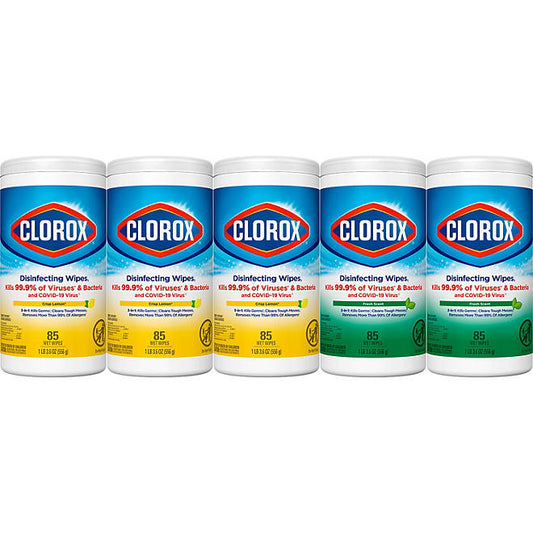 Clorox Disinfecting Bleach-Free Cleaning Wipes, Variety Pack (85 wipes/pk., 5 pk.)