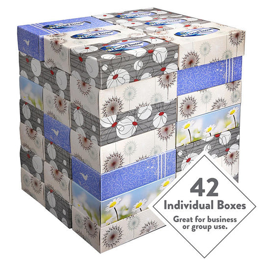 Member's Mark Soft and Strong 2-Ply Facial Tissue, Flat Boxes (110 tissues/box, 42 boxes)